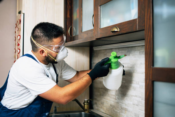 Best Mosquito Control Services  in East Vineland, NJ