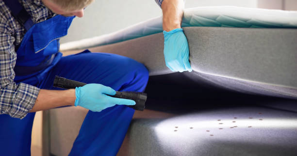 Professional Pest Control in East Vineland, NJ