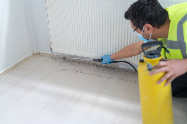 Best Best Pest Control Companies  in East Vineland, NJ
