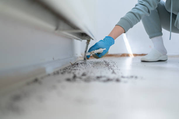 Best Pest Removal Services  in East Vineland, NJ